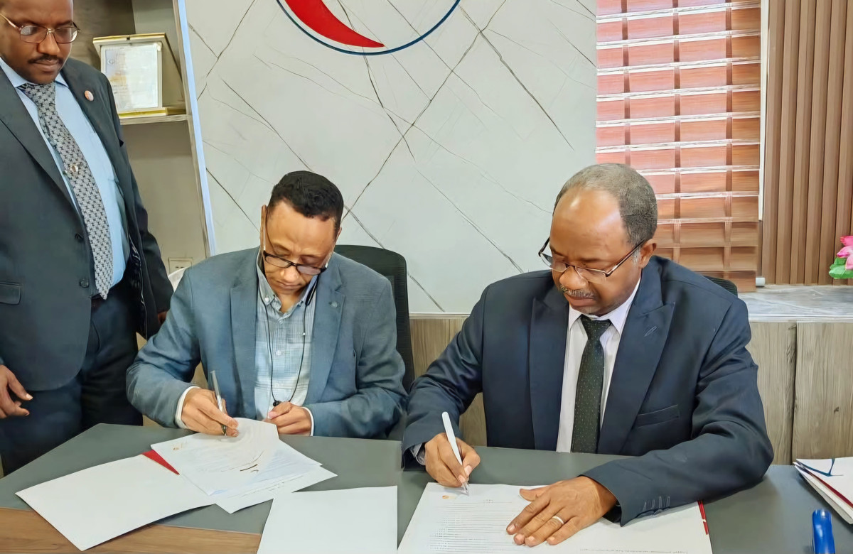 بنك النيل للتجارة و التنمية