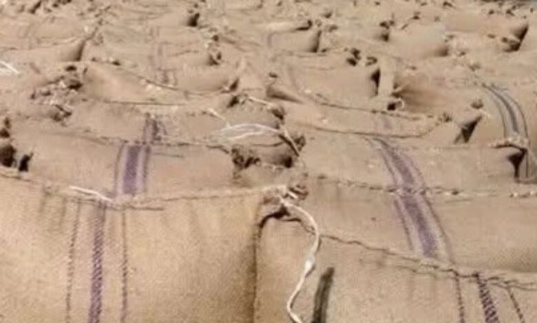 النزوح في شمال كردفان